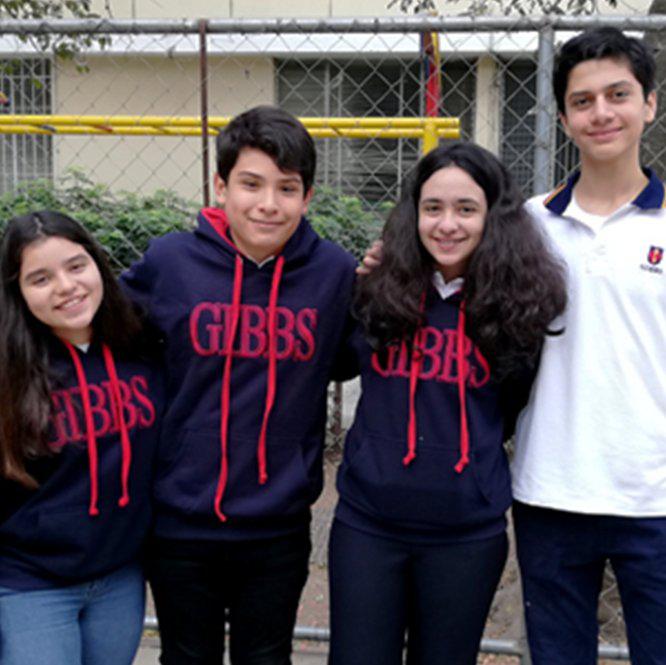 Basicos Gibbs